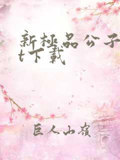 新极品公子txt下载