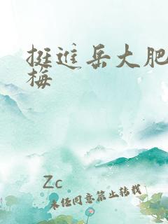 挺进岳大肥屁丽梅