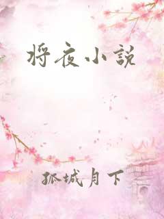 将夜小说