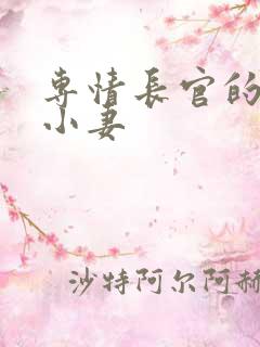 专情长官的天价小妻