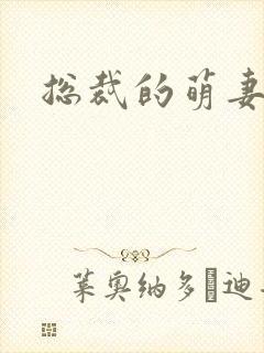 总裁的萌妻欢宝