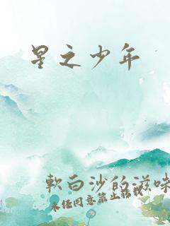 星之少年