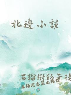 北边小说