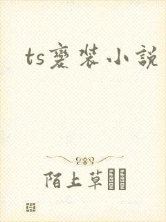 ts变装小说