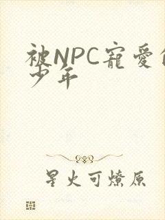 被NPC宠爱的少年
