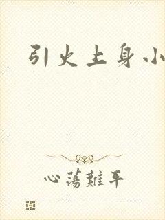 引火上身小说