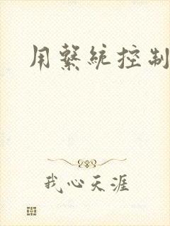 用系统控制女神