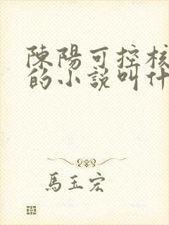 陈阳可控核聚变的小说叫什么名字