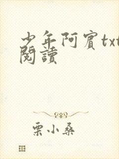 少年阿宾txt阅读