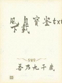 风月宝鉴txt下载