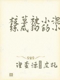 校草被小混混训练成狗的小说