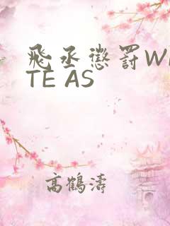 飞丞惩罚WRITE AS