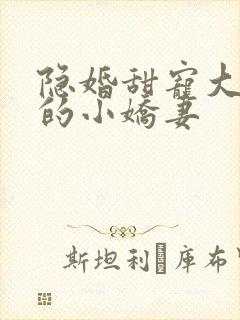 隐婚甜宠大财阀的小娇妻