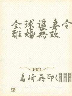 全球追妻令老婆离婚无效