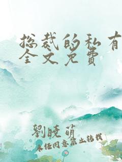 总裁的私有宝贝全文免费