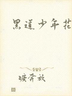 黑道少年花丛游