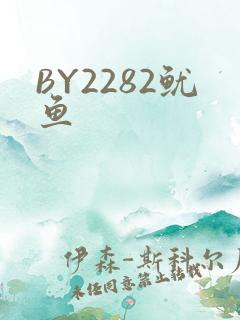BY2282鱿鱼