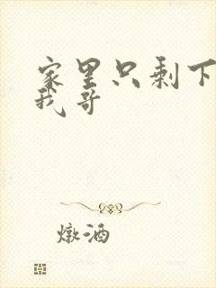 家里只剩下我和我哥