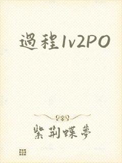 过程1v2PO