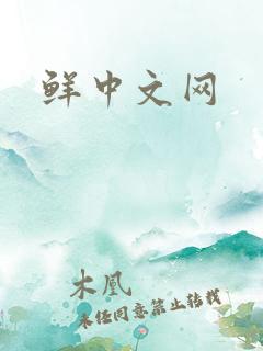 鲜中文网