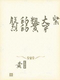 朕的粗大紫红猛烈的贯穿