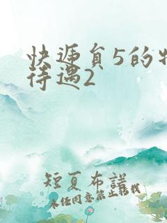 快递员5的特殊待遇2