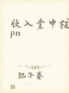 收入囊中校园hpn