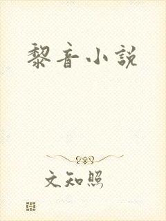 黎音小说
