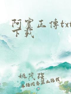 阿宾正传txt下载