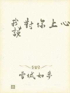 我对你上心了小说