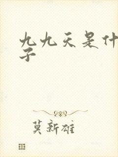 九九天是什么日子