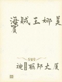 海贼王娜美h罗宾