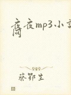 夜夜mp3小说网