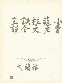 王铁柱苏小汐小说全文免费阅读最新章节