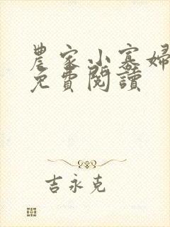 农家小寡妇全文免费阅读