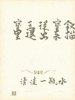 宝玉从宝钗身体里退出来描写