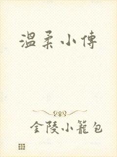 温柔小传