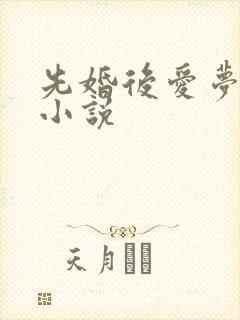 先婚后爱梦筱二小说