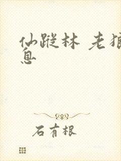 仙踪林 老狼信息
