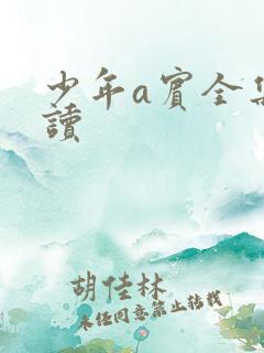 少年a宾全集阅读