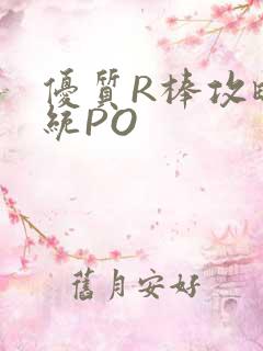 优质R棒攻略系统PO