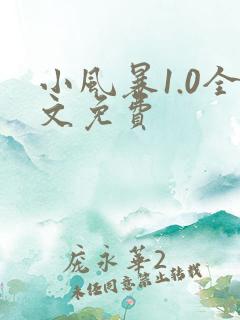 小风暴1.0全文免费