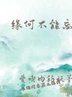 缘何不能忘记你