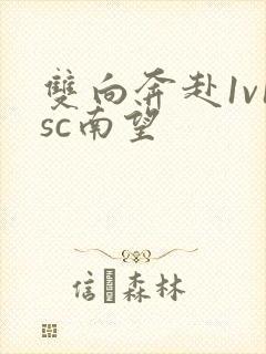 双向奔赴1v1sc南望