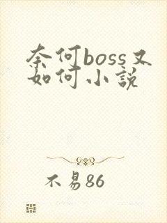奈何boss又如何小说