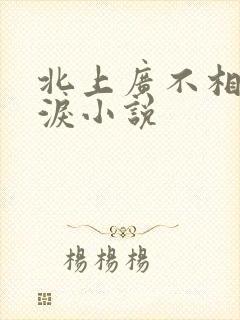 北上广不相信眼泪小说