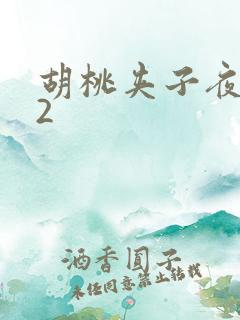 胡桃夹子夜未眠2