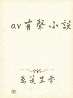 av有声小说
