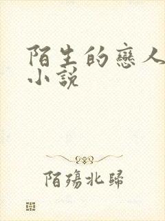 陌生的恋人原著小说