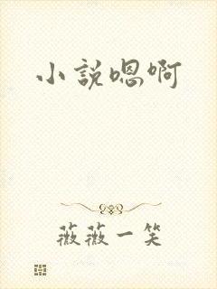 小说嗯啊